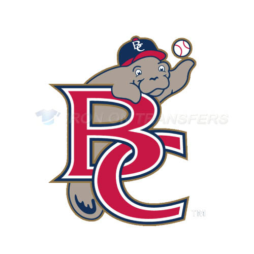 Brevard County Manatees Iron-on Stickers (Heat Transfers)NO.7884